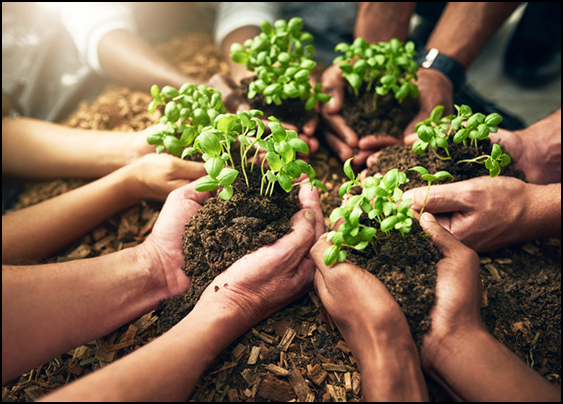 Why should you choose Shan Translation?